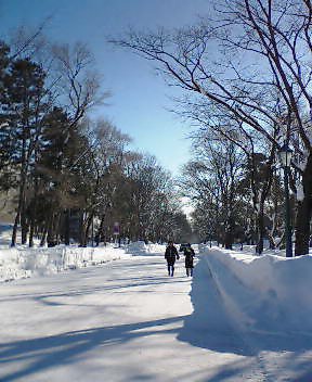 c0026846_13514882.jpg
