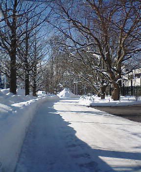c0026846_1352529.jpg