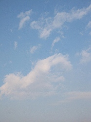 c0015354_1835054.jpg