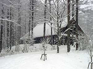 a0029259_10341595.jpg