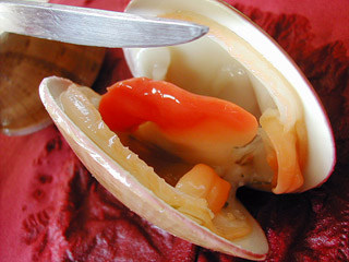 c0009070_2032917.jpg