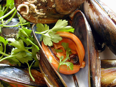 c0009070_741026.jpg
