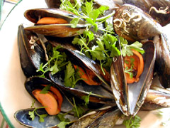 c0009070_751387.jpg
