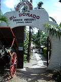 a0003089_11301691.jpg