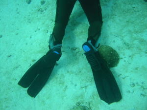 c0034029_1146844.jpg