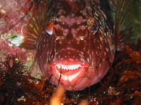 c0034029_12351675.jpg