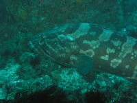 c0034029_13361780.jpg