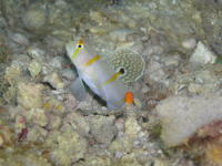c0034029_14382445.jpg