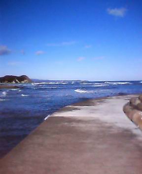 b0045236_20445894.jpg