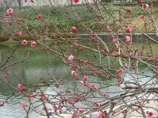 b0055171_10565110.jpg
