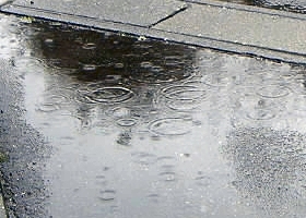 b0040498_950188.jpg