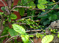 c0014035_23332758.jpg