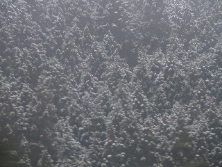 c0020059_21393519.jpg