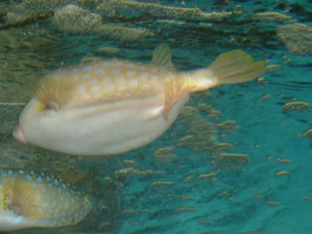 b0044296_0361485.jpg