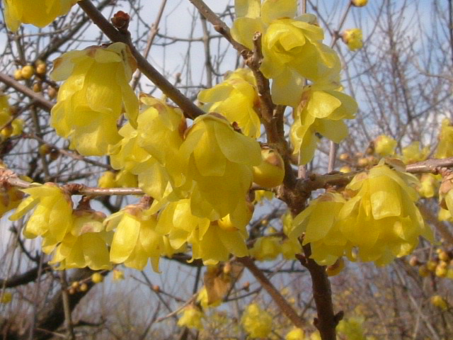b0044296_0424462.jpg