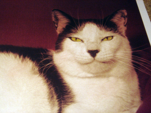 a0004810_22264667.jpg