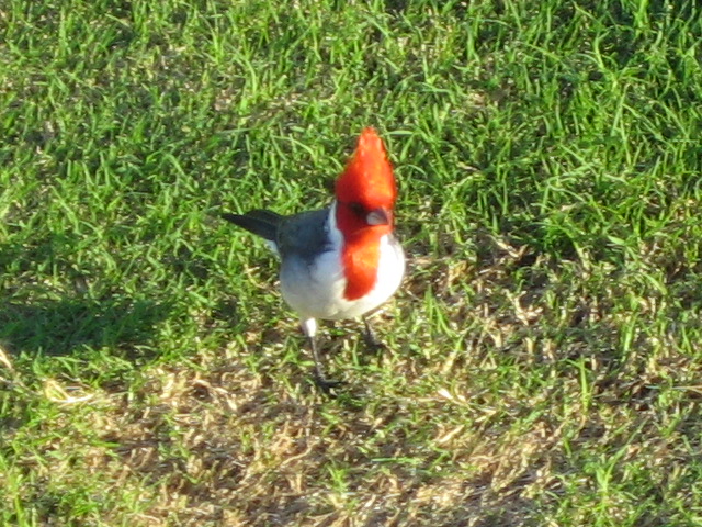 b0052816_01744.jpg