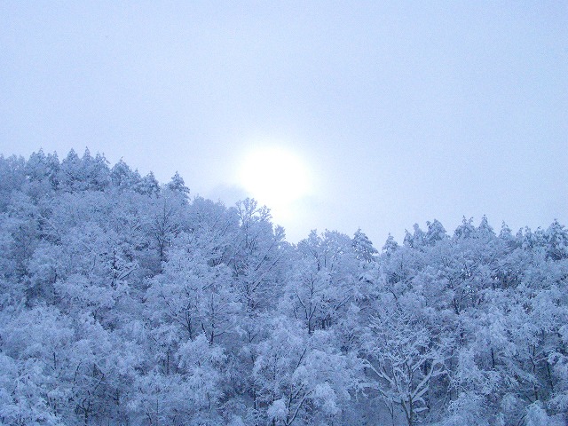 b0010882_0594313.jpg
