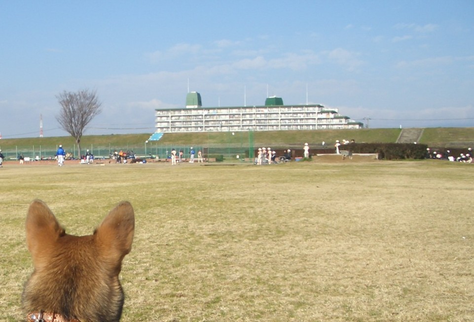 c0033593_0553425.jpg