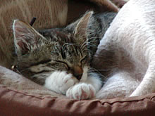 c0035001_1654561.jpg