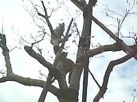 a0033507_16222724.jpg