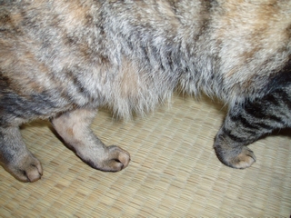 a0027720_21492554.jpg