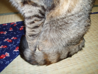 a0027720_21504412.jpg
