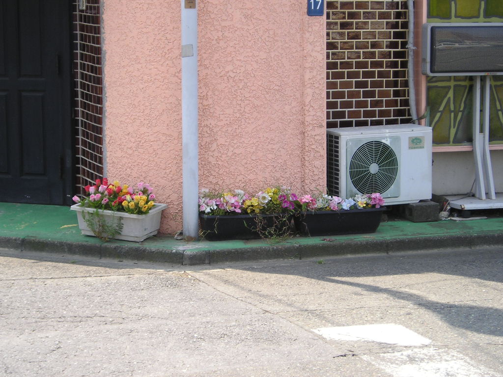 b0045451_15514524.jpg