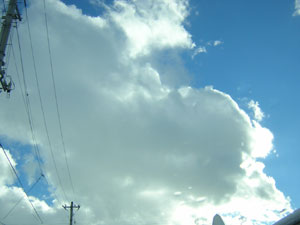 b0046664_2311110.jpg