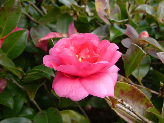 b0055171_1536989.jpg