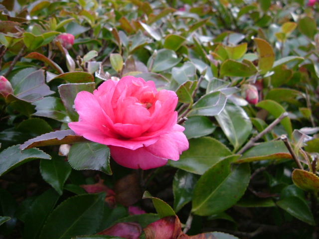 b0055171_15395752.jpg