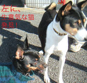 c0012571_1242276.gif