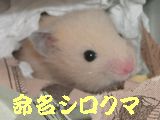 b0016983_1029175.jpg