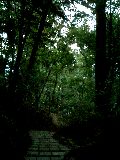 b0011287_16343837.jpg