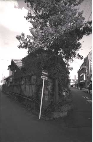 c0019131_21253426.jpg