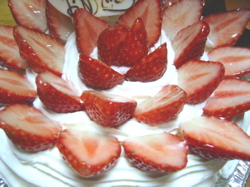 b0046038_1155690.jpg