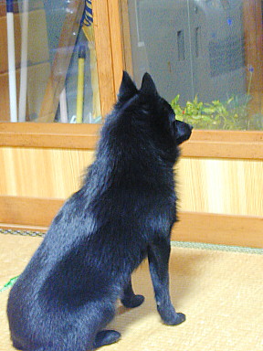 a0009750_11335986.jpg