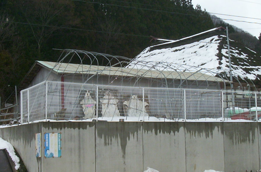 a0029157_23291484.jpg