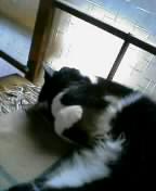 c0023782_23433094.jpg