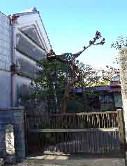 c0008598_19464886.jpg