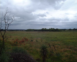 b0040606_15363399.jpg