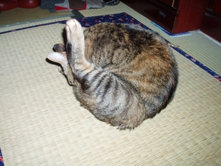 a0027720_18591458.jpg