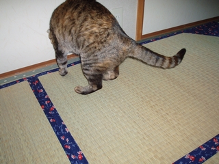 a0027720_191067.jpg