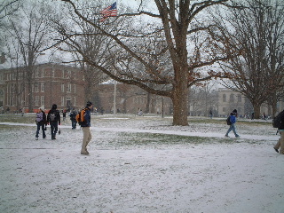 b0001284_0494244.jpg