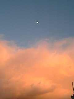 c0028086_1528676.jpg