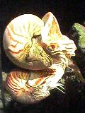 b0036608_22105717.jpg