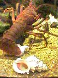 b0036608_2291199.jpg