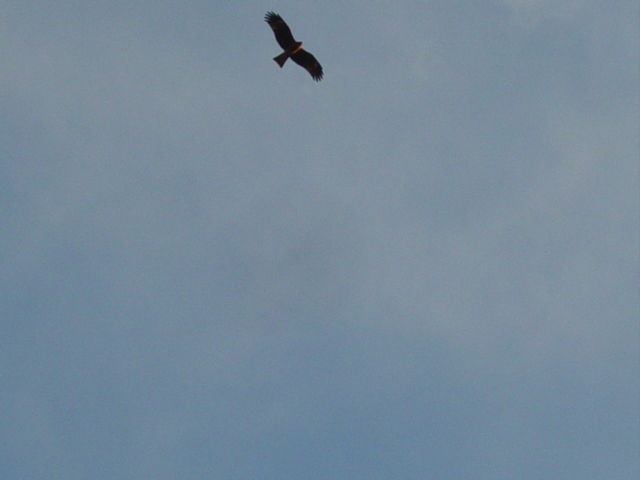 a0003618_2284920.jpg