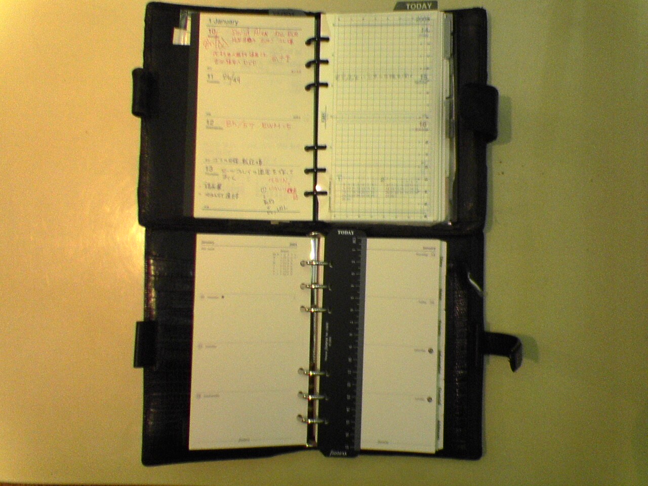 b0029350_025671.jpg