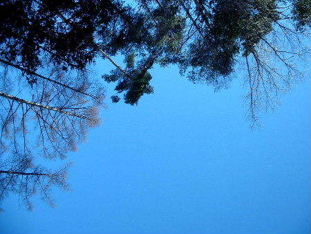 b0015260_2054613.jpg